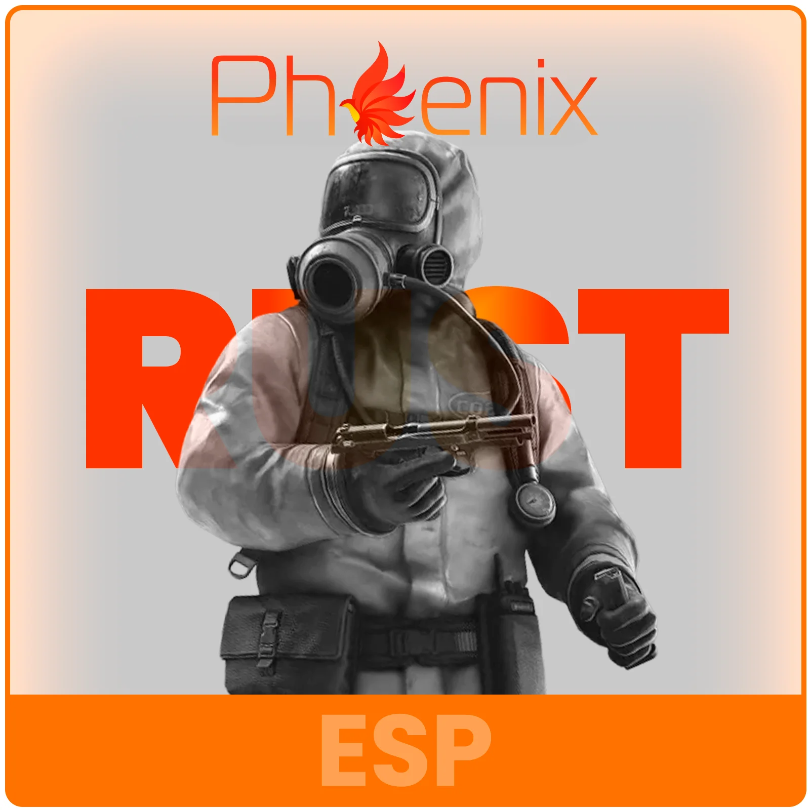 Phoenix Rust ESP